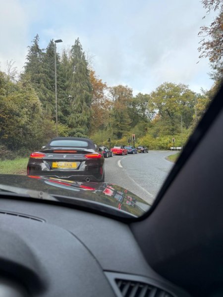 Out of the Forest.jpg