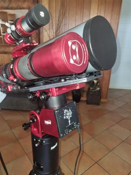 20251107_083622 (Medium).jpg