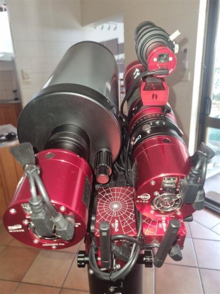 20251107_083634 (Medium).jpg