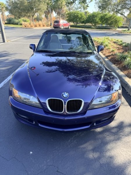 IMG_0810 Medium.jpeg