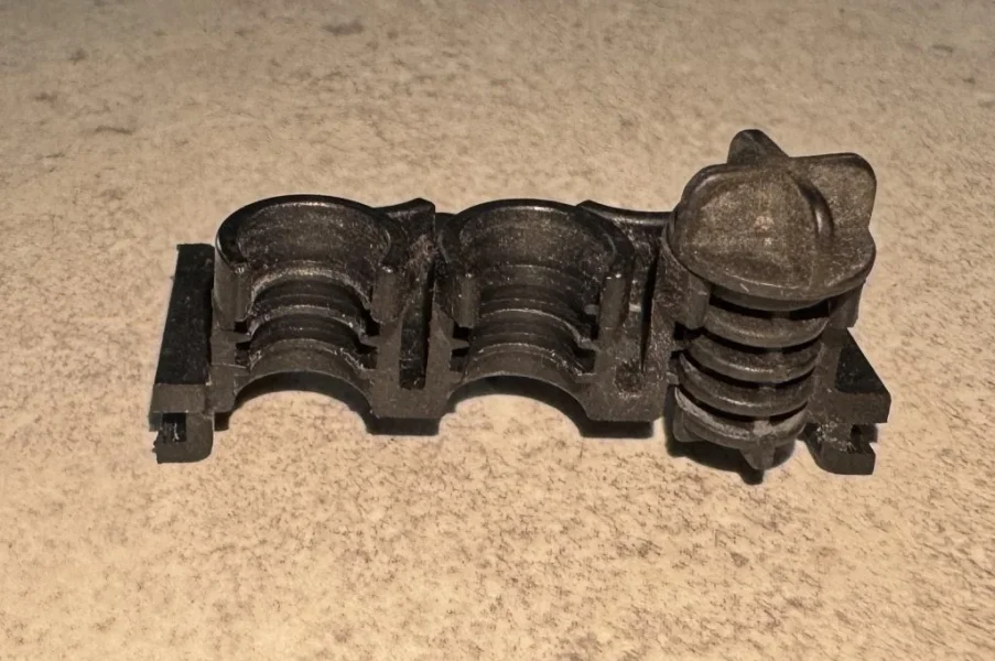 IMG_2481.webp