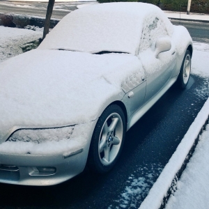 Snowy Z3