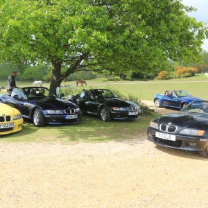 New Forest Cruise - 10 May 2015