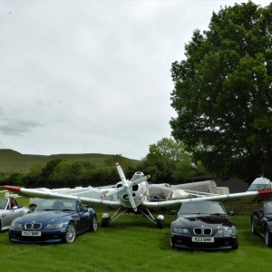 Buttercups and Planes