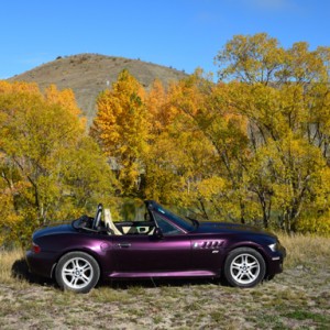 Autumn in the McKenzie Country N.Z.