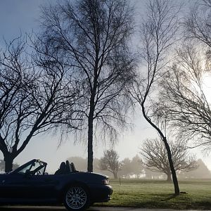 Rood down in January