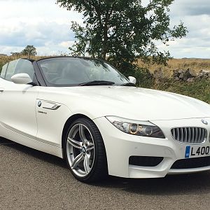 Alpie on Mint's Cruise