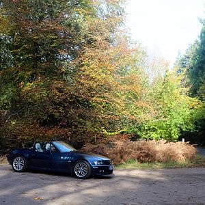 Autumn Colours Cruise, 29 Oct 2017