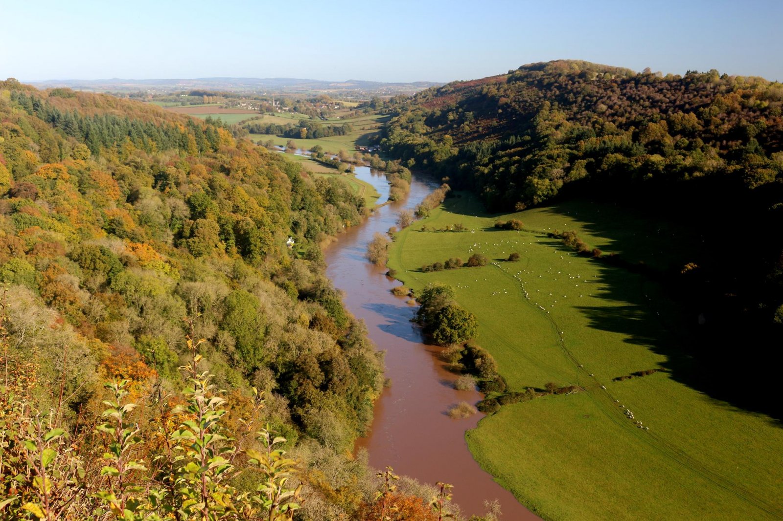 Autumn Colours Cruise, 27 Oct 2019