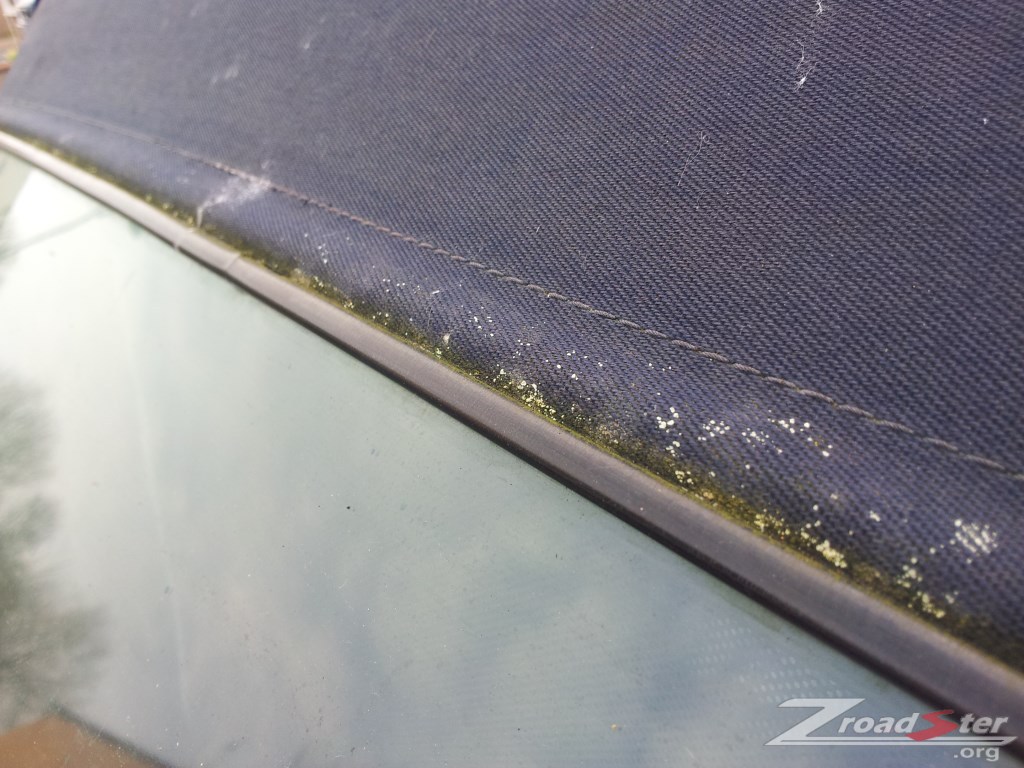 BMW Z3 Hood Clean - Before