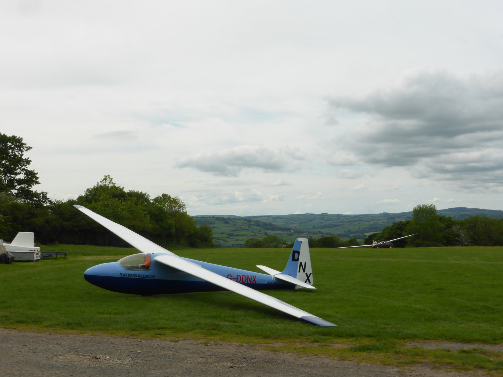 Buttercups and Planes