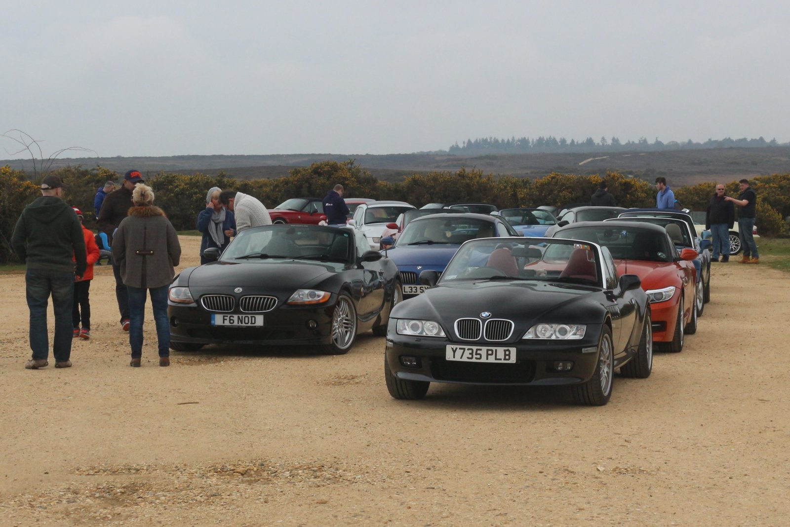 New Forest, 15 April 2018