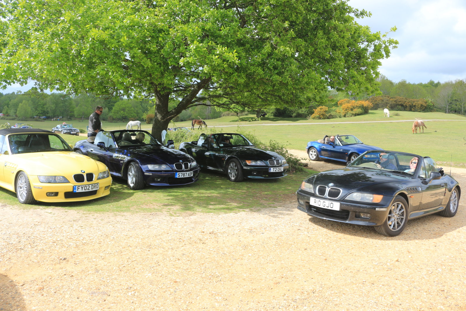 New Forest Cruise - 10 May 2015