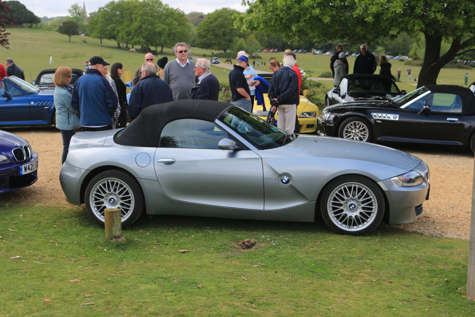 New Forest Cruise - 10 May 2015