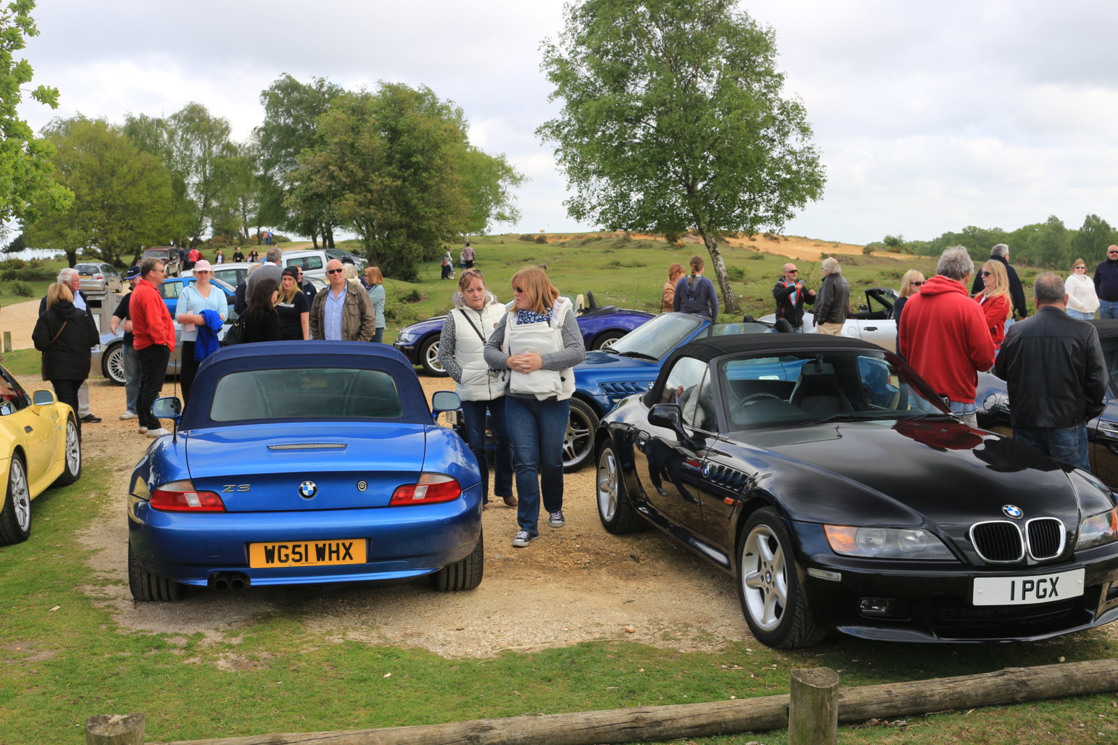 New Forest Cruise - 10 May 2015