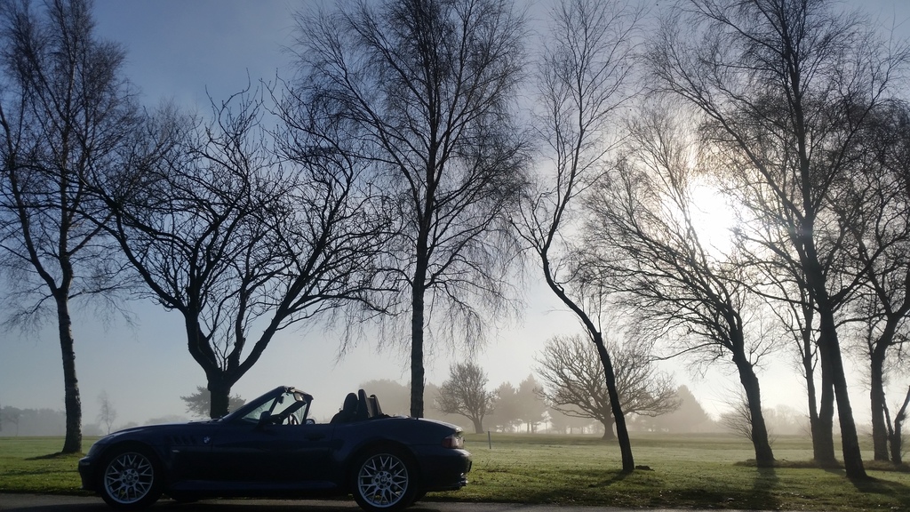 Rood down in January