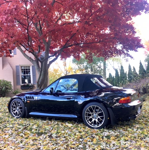 top up fall pic